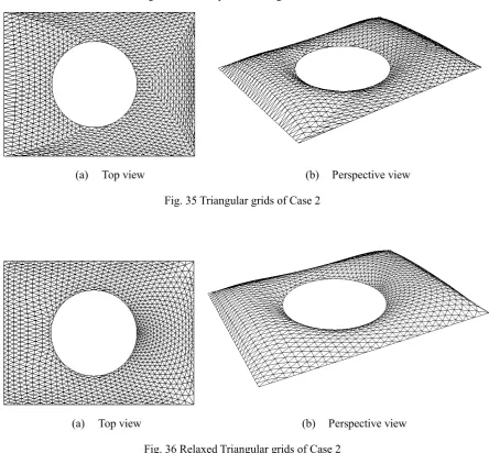 Fig. 36 Relaxed Triangular grids of Case 2 