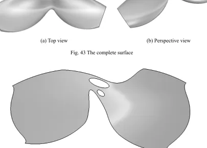 Fig. 43 The complete surface 