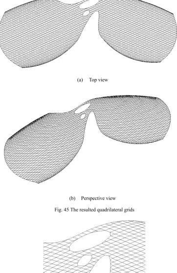 Fig. 45 The resulted quadrilateral grids 