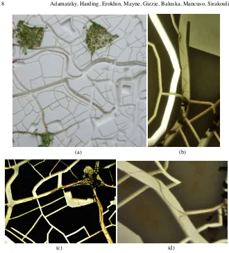 Fig. 5 Imitation of crowd propagation with plant roots on a 3D template of Bristol, UK.(a) Seedlings are growing in three open spaces, including Temple Gardens and Queen Square.(b) Example of bouncing movement of root apex