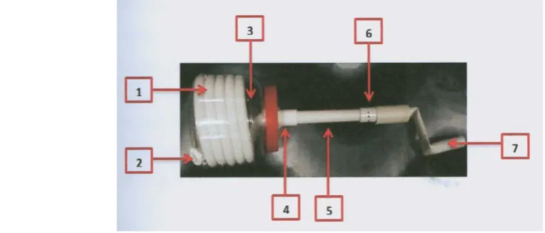 Figure 1 Model of Prototype to understand the pumping action of the pump. 