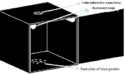 Figure 1 A schematic of the box used for imaging 