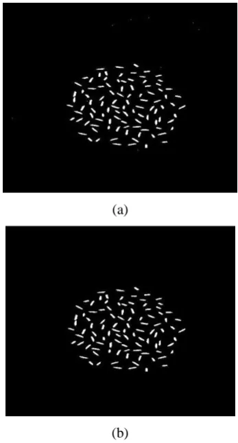 Figure 4 Sample of rice grains image processing 