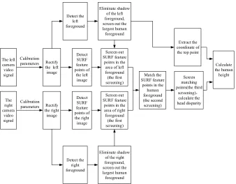 Fig. 2. The flowchart of measuring the body height 