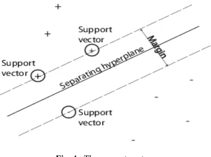 Fig. 4. The support vectors 