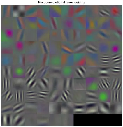 Fig. 7. The output of the first convolution layer 