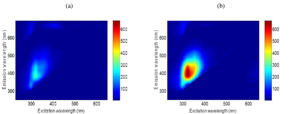 Figure 5 (a) 3D front-face fluorescence spectra of the OO with the lowest PC1 score (O2) among OO group; (b) 3D 