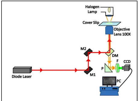 Figure 1. Experimental set up for directional flow of micro-scopic particles. 