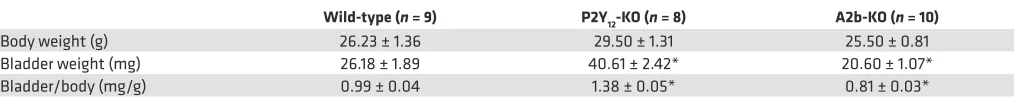 Table 1. Deletion of P2Y12 (n = 8) or A2b (n = 10) receptor results in altered bladder weights