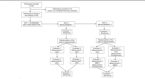 Fig. 1 Flowchart of study participants