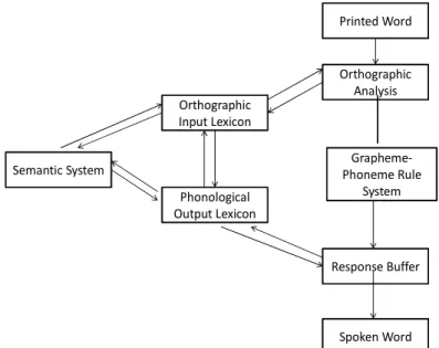 Figure 2.1:  The Dual-route Cascade Model of Word Reading (adapted from  Coltheart et al., 2001, p