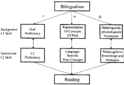 Figure 2.5:  Bialystok’s (2002,p.159) model of the relationship between first L1 and L2  literacy acquisition and bilingualism