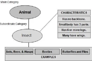 Figure 2.9:  Example of a concept map illustrating depth of vocabulary (compiled  from Kirby, 2007 and Goldstein, 2001)