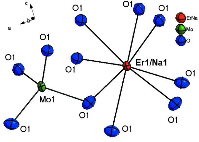 Figure 1Section of the structure of NaEr(MoO4)2 with the atom labelling scheme. The displacement ellipsoids are drawn at the 