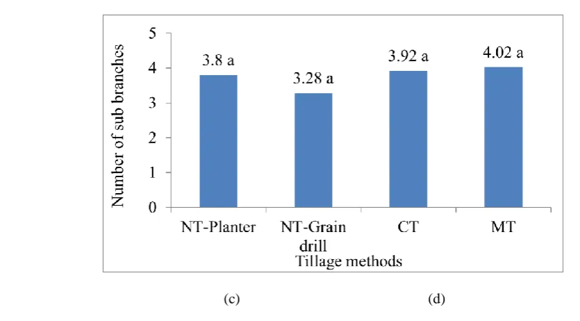 Table 6 Mean comparison of yield and yield components in year 2013 