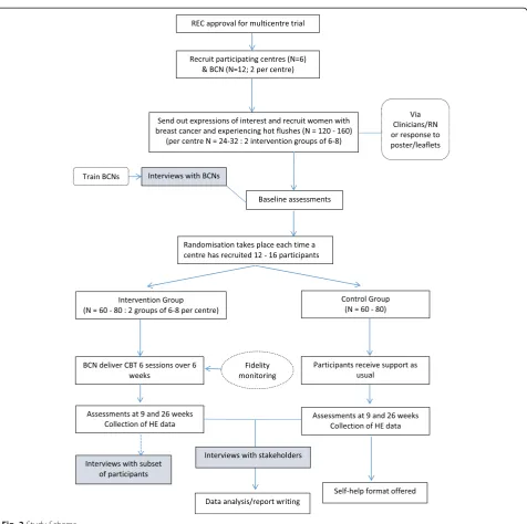 Fig. 2 Study Schema
