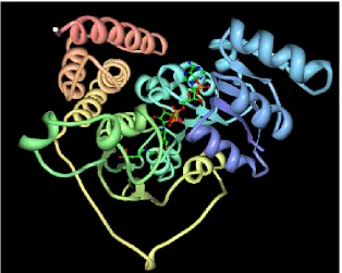 Figure 6a: Wireframe model of PDB id 1Q0L (Mac Sweeney et al., 2005) 