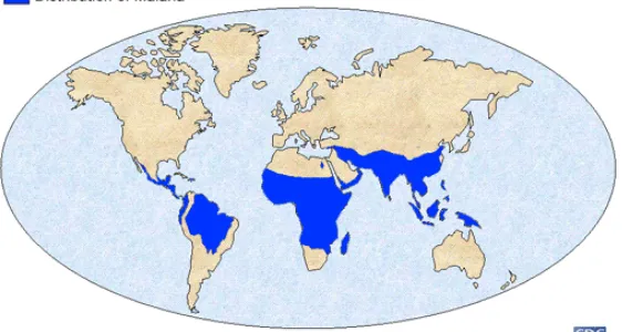 Figure 1: Geographic distribution of malaria  