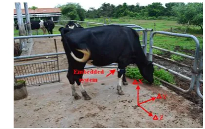 Figure 1 Embedded system attached around a leg of the 