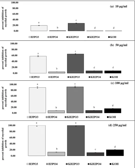 Figure 1 Inhibition of Microdochium nivale mycelial growth on phosphorous acid (H3PO3), phosphoric acid (H3PO4), dihydrogen potassium phosphite (KH2PO3), dihydrogen potassium phosphate (KH2PO4), and potassium hydroxide (KOH) amended PDA
