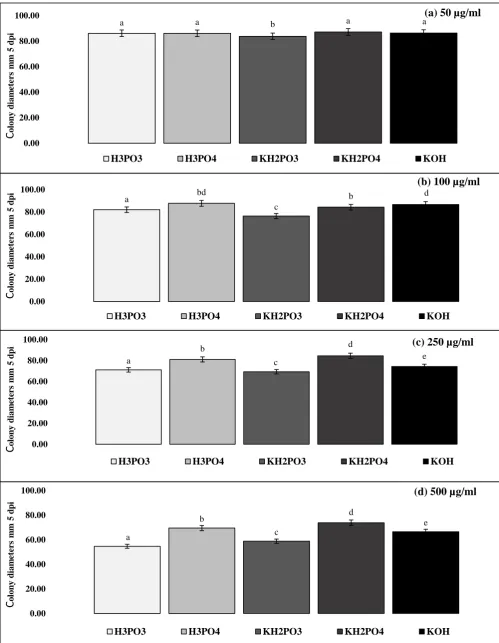 Figure 3 Microdochium nivale Effect of immersion of Microdochium nivale mycelium in solutions of phosphorous acid (H3PO3), phosphoric acid (H3PO4), dihydrogen potassium phosphite (KH2PO3), dihydrogen potassium phosphate (KH2PO4), and potassium hydroxide (K