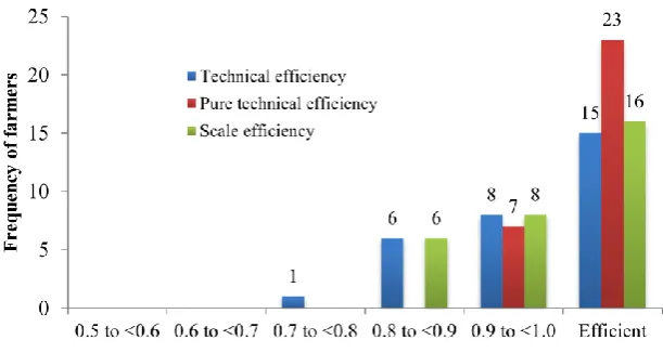 Figure 2 Efficiency score distribution of broiler production farmers 
