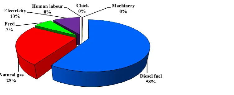 Figure 3 Distribution of saving energy from different sources for broiler production  