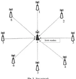 Fig. 3. Star network 