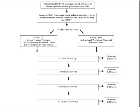 Fig. 1 Study Flow Process of f assessment