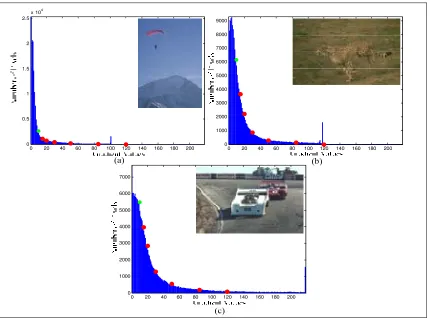 Fig. 6. Gradient histogram of: (a) Parachute, (b) Cheetah, (c) Cars. 