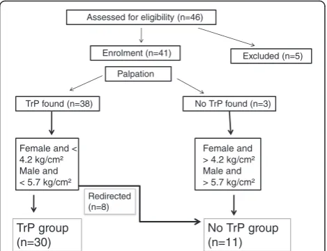 Fig. 2 Flowchart of the study presenting the final group allocation