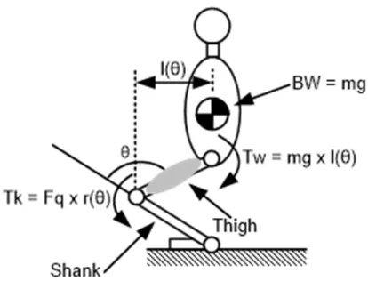 Fig. 1. Schematic of the force vectors. θ: angle of rotation of the knee; BW:body weight; Tw : torque resulting from the action of BW; Fq : quadricepsforce; Tk: torque resulting from the action of Fq ; r(θ) : moment arm atthe knee; l(θ) : effective moment arm of the BW from the knee.