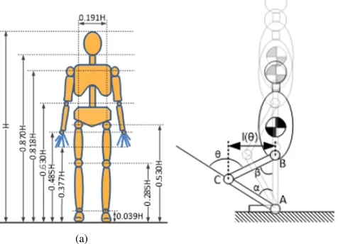 Fig. 2.(A) Body segment lengths expressed as a fraction of body height,adapted from [1] and (B) schematic showing the different angles to workout the effective moment arm.