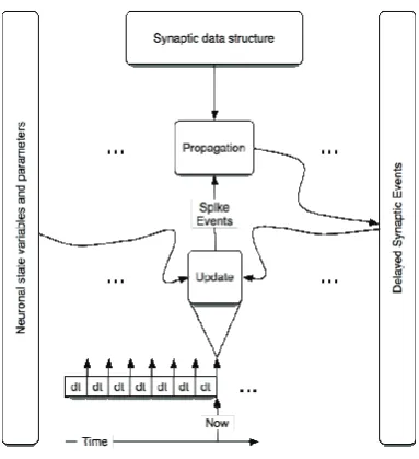 Figure 3.1-1 Synchronous system: simulation execution flow 