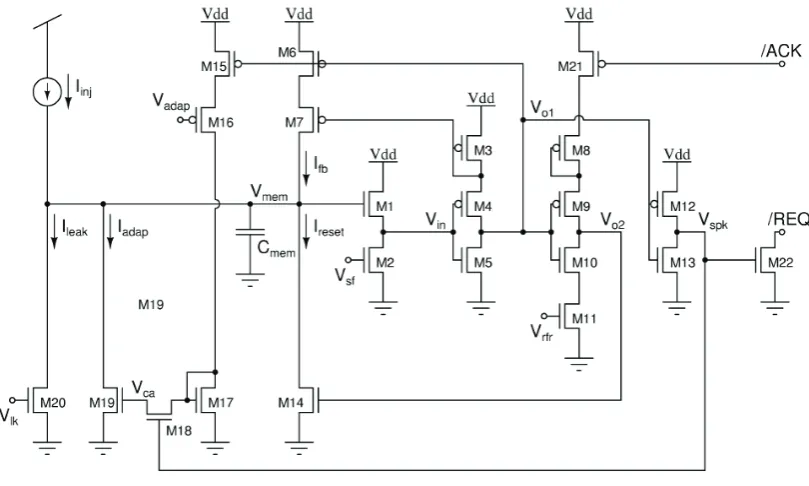 Figure 4.1-2 Integrate and fire neuron [46] 