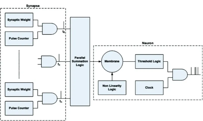Figure 4.2-1 Synaptic transmission using AND gates [48] 
