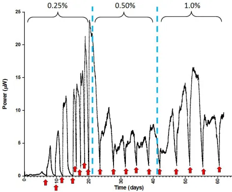 Figure 5: Interactive Feeding of Microbial Fuel Cells. Nineindividually connected MFCs were operated with Evobotplatform.The experiment took place on the experimentlayer of the robot