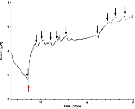 Figure 7: Power output from the same MFC2, followingcathode hydrations by Evobot, during one feeding cycle be-tween days 31-34 of the experiment