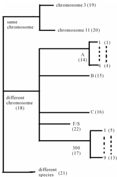 Figure 1. The grouping frame of the different training datasets. 