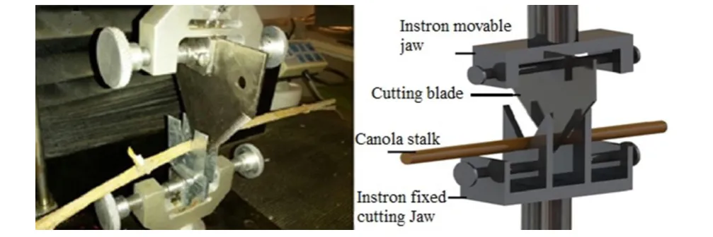 Figure 1  Optimum placement and stalk cutting 