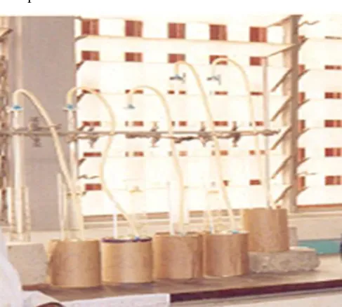 Table 1 Experimental batch digesters' data 