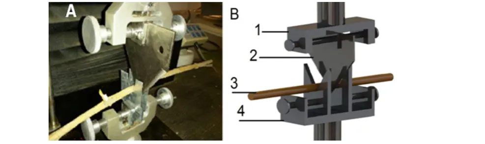 Figure 2  Force-Deformation diagram at canola stalk 