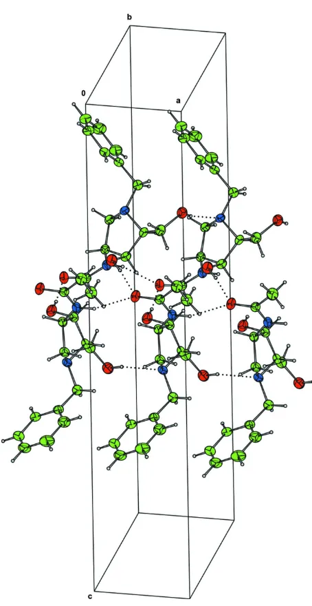 Figure 3Packing diagram of the title compound with hydrogen bonds shown by dotted lines