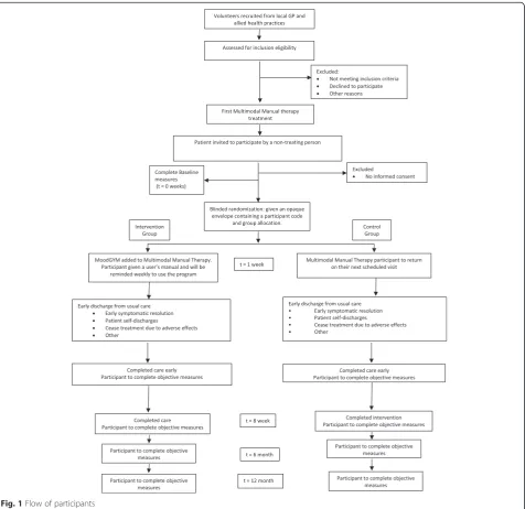 Fig. 1 Flow of participants