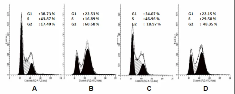 Table 1. MCF-7 Cell distribution after treatment of doxorubicin, nobiletin and their combination for 24 hours