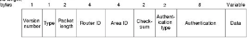 Figure 10: OSPF packet format 