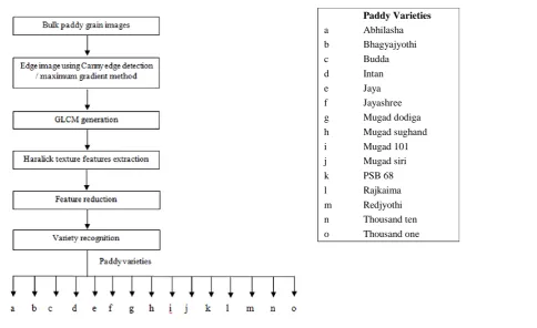 Figure 1 Block diagram of the proposed methods 