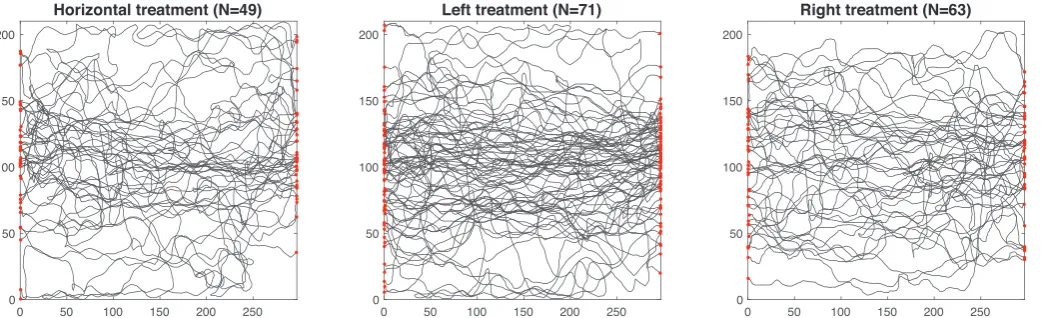 Fig. 2.old nest to the new nest. (For interpretation of the references to colour in this Examples of trajectories (from colony 1 and the horizontal landmarks treatment): a relatively low tortuosity trajectory (top path in blue, ﬁ0.116higher tortuosity traj