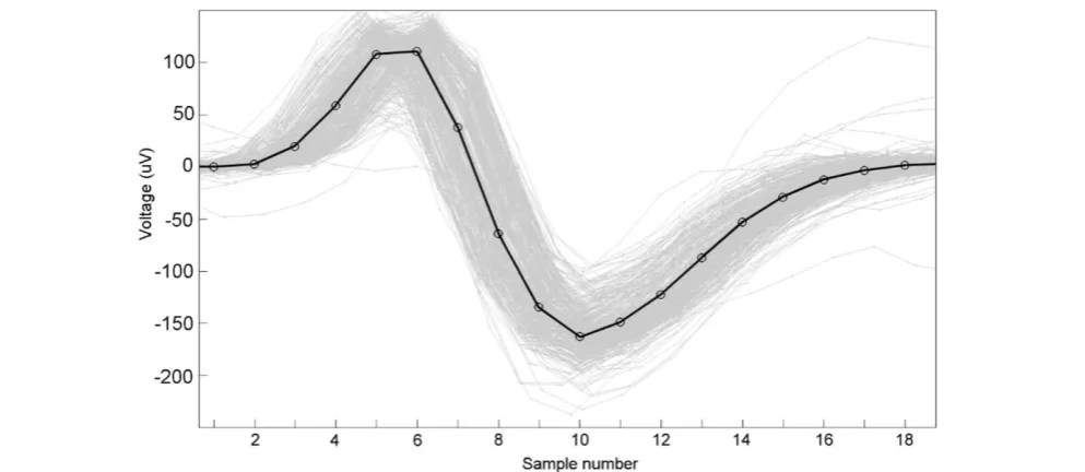 Figure 1 One cow’s QRS-complex as an average of 100 detected heart beats measured at 256 Hz