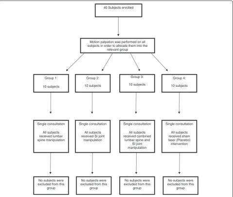Figure 1 Flow diagram showing subject intake and group allocation.
